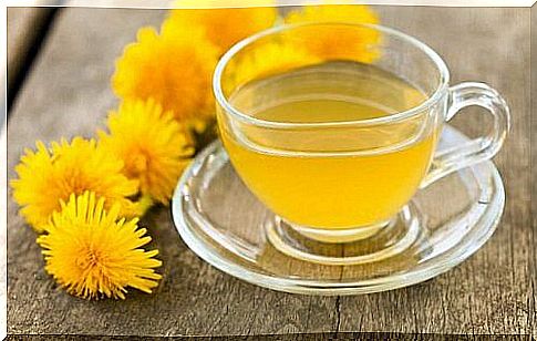 Tips to clean the liver with dandelion tea