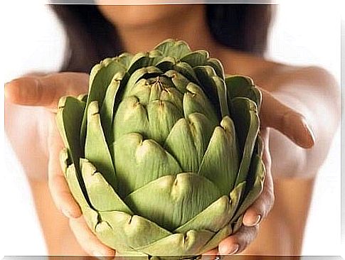 Artichokes on the list of herbs for weight loss 