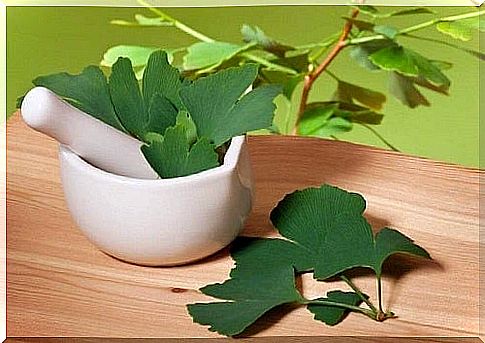 Natural remedies for tinnitus such as ginkgo biloba