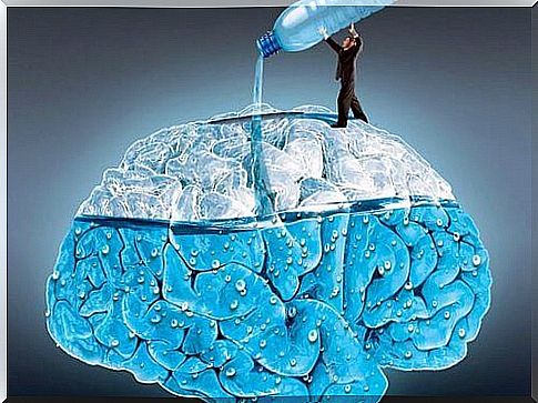 5 of the effects of water on the brain