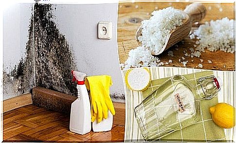 5 tricks to remove moisture from the house