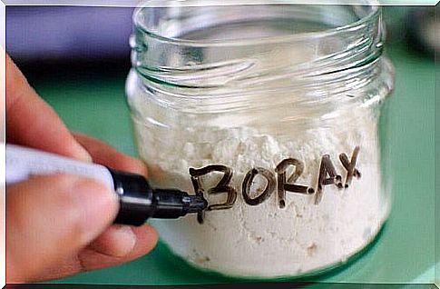 Borax included in tricks to remove moisture from the house