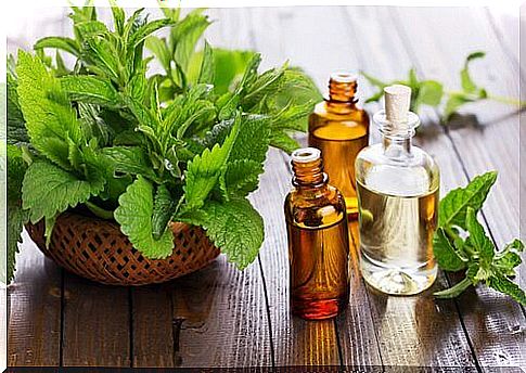 Natural treatments for canker sores such as peppermint oil