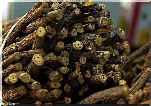 The habit of chewing licorice prevents redness of the nails