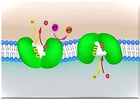 The need for treatments for hyperkalemia