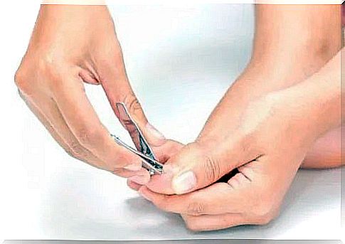 Diabetic foot care by cutting nails