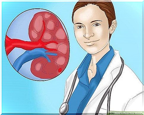 Discover 5 symptoms of kidney problems