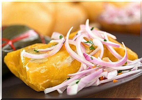 Homemade tamale recipe with red onion 