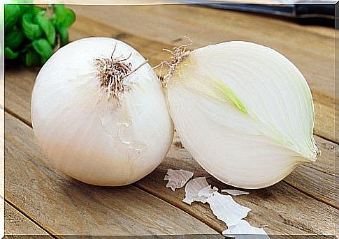 White onion