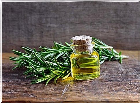 Discover the incredible uses and benefits of rosemary