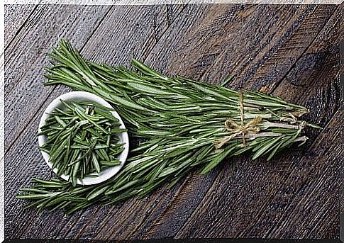 Uses and benefits of fresh rosemary