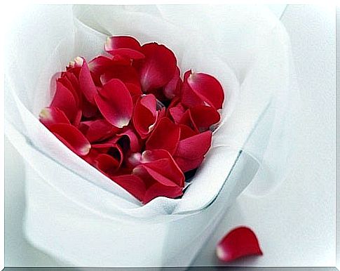 Remedy for rejuvenating the eyes with rose petals