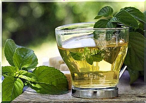 Green tea for removing abdominal fat with mint