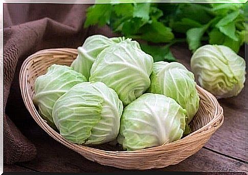 Remedy for hernia with cabbage leaves