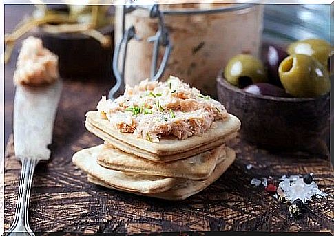 Slices of bread with tuna appetizer