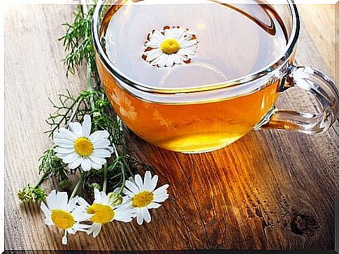 Chamomile tea fights intestinal parasites