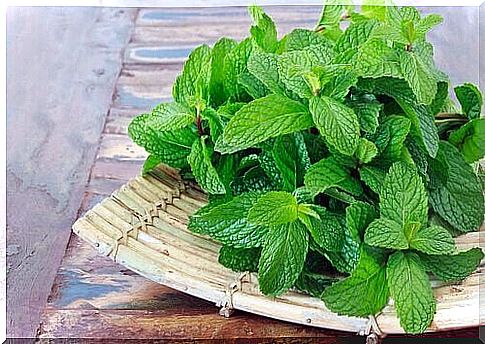 Mint leaf remedies for various ailments