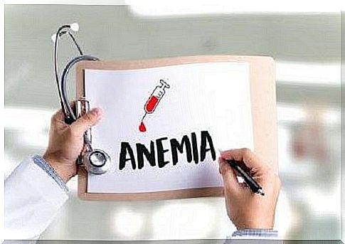 The best foods for anemia