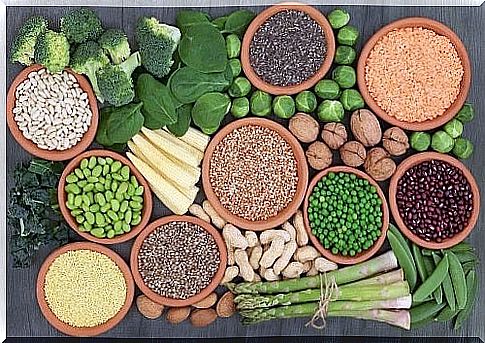 The main sources of protein in the vegan diet