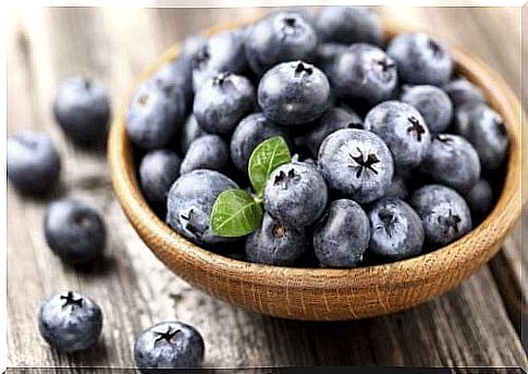 Tips to grow a blueberry in your home