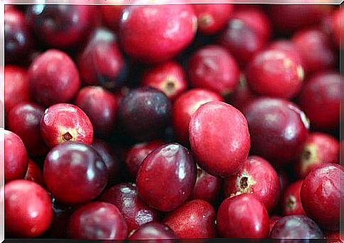 Grow a blueberry at home so you always have fresh fruit