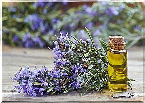 Rosemary included in a treatment to stimulate hair growth