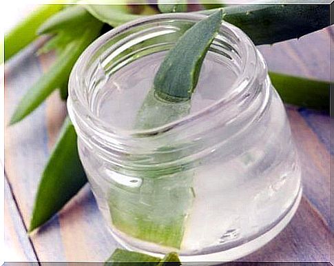 Aloe vera treats type 2 diabetes