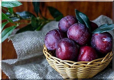 Basket with plums