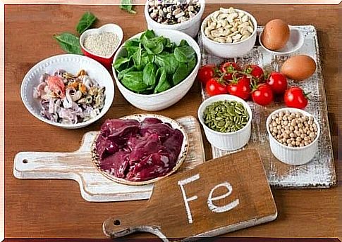 Foods that contain large amounts of iron